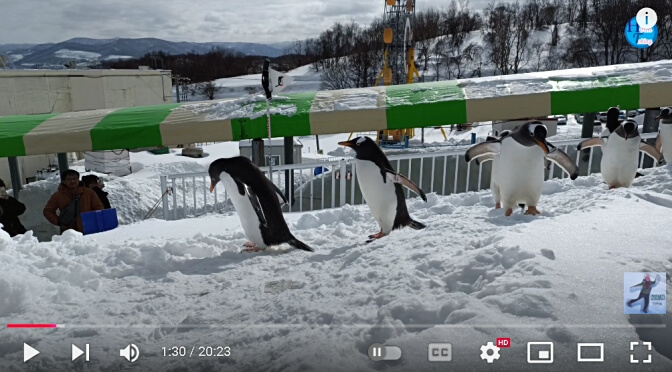 Otaru Aquarium