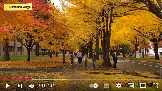 Hokkaido University