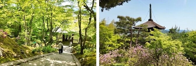 Jojakko-ji Temple