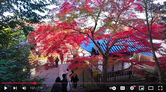 Nison-in
