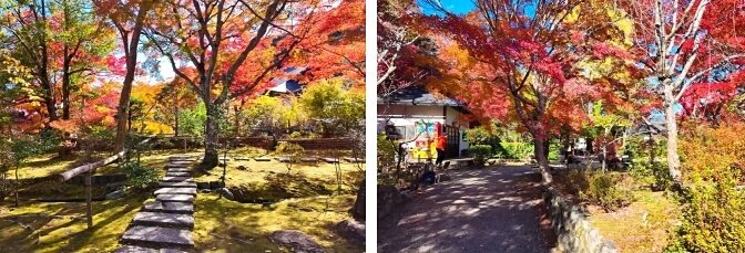 Nison-in