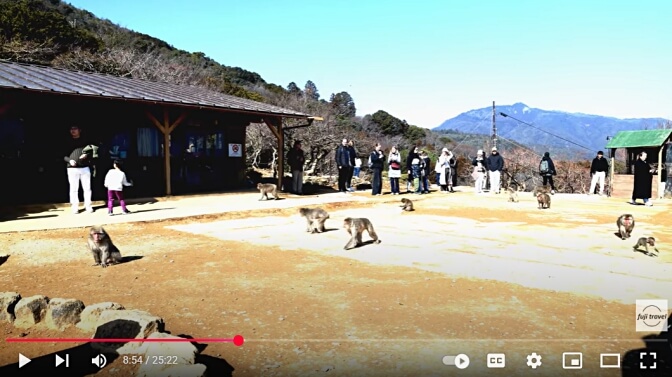 Arashiyama Monkey Park
