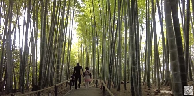 Kodai-ji