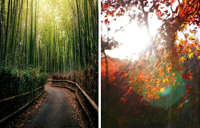 Arashiyama 