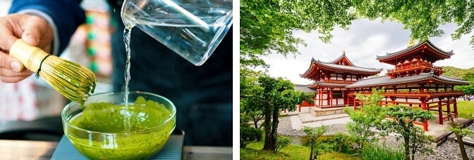 Uji highlights