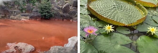 Umi Jigoku