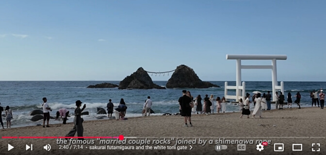 White Torii Gate