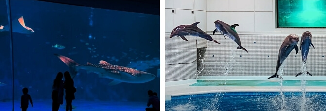 Kagoshima City Aquarium