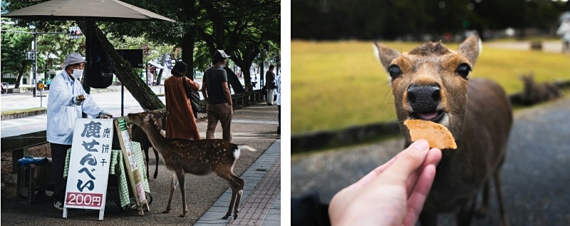 Deer crackers