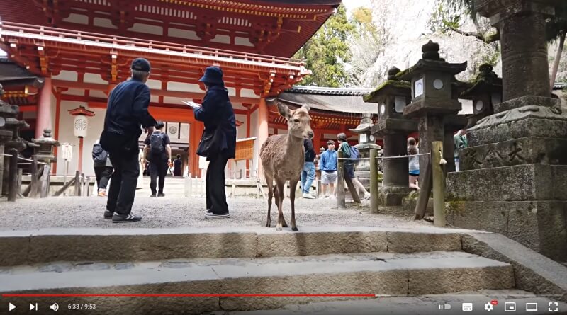 Kasugataisha Shrine