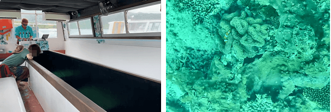 Kabira Bay Glass-bottom Boat