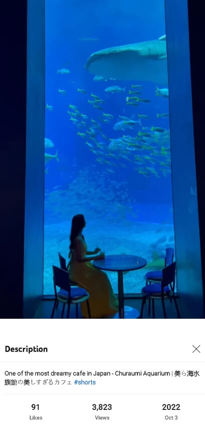 Okinawa Churaumi Aquarium