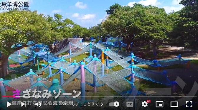 Okinawa Churaumi Aquarium