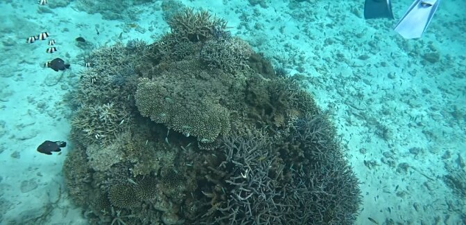 Nagannu Island