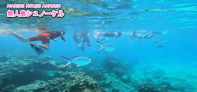 Tokashiki Island