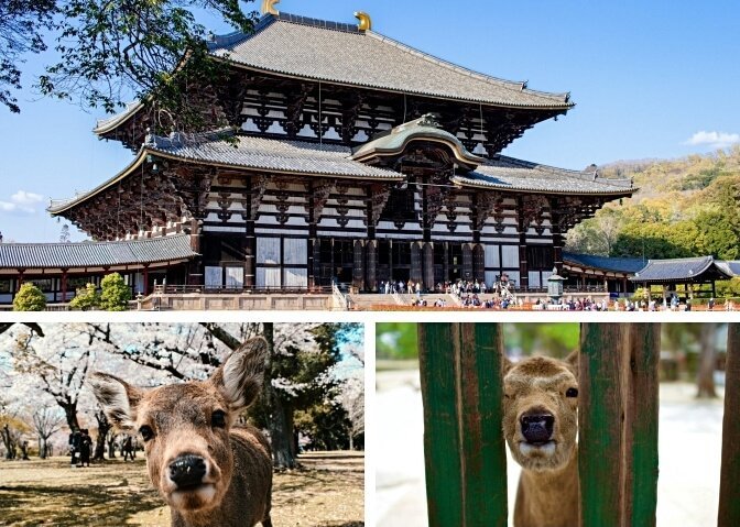 nara