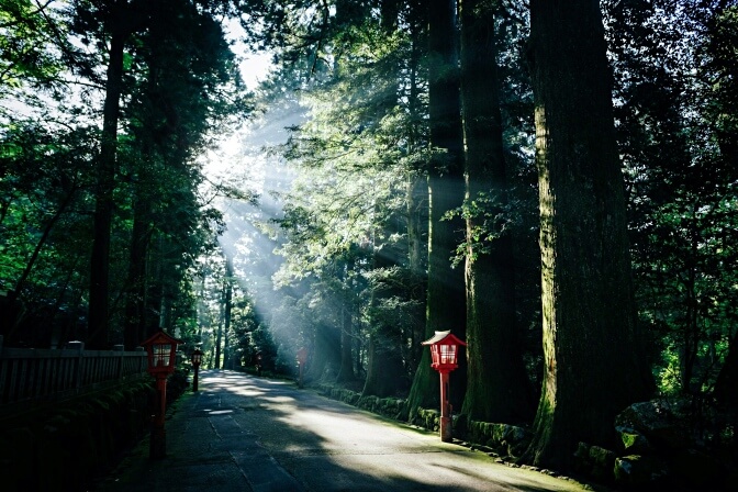 Hakone Shrine