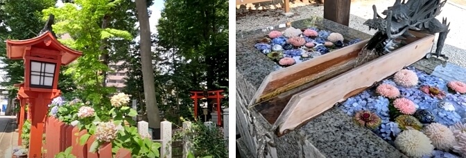 Hachimangu Shrine