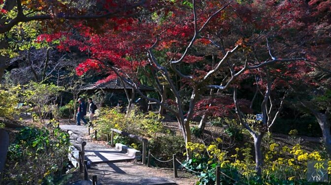 Sankeien Garden